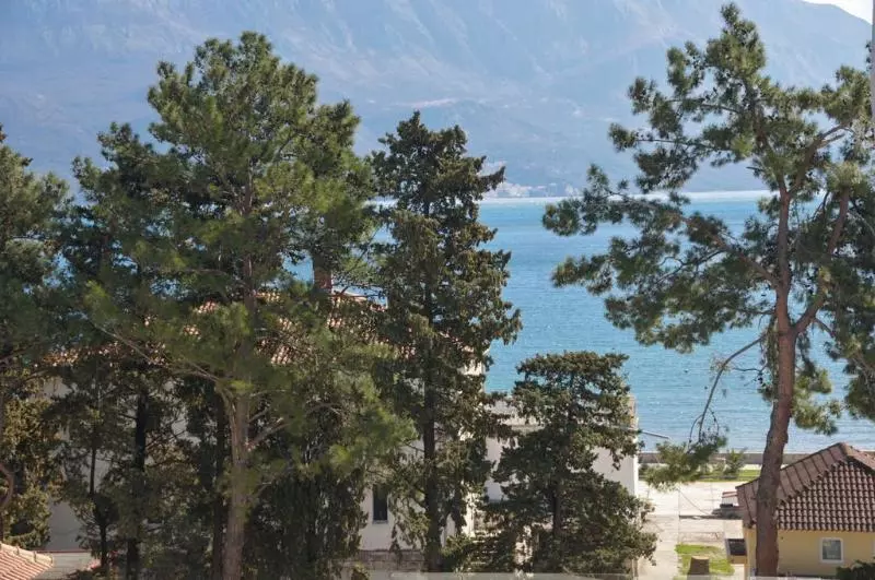 Fotos del hotel Oaza:  8