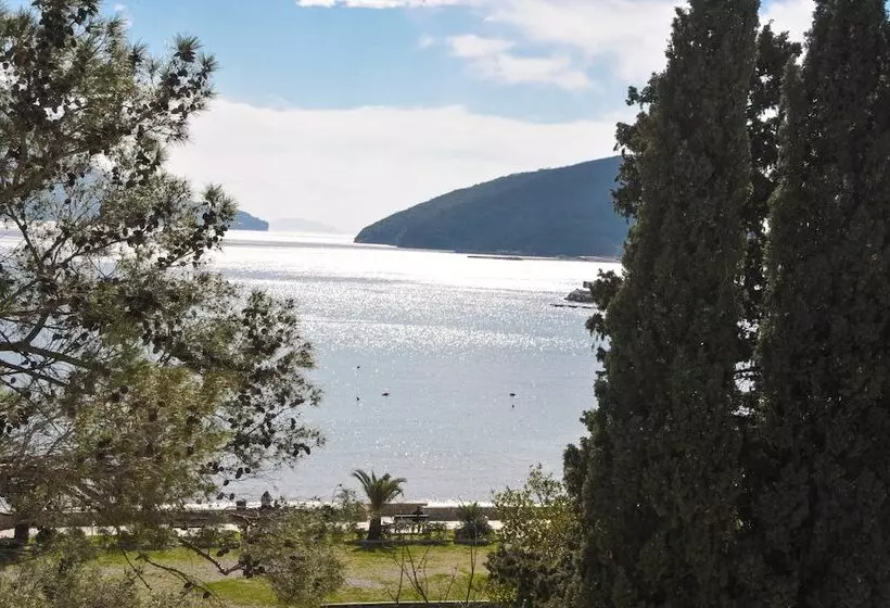 Fotos del hotel Oaza:  13