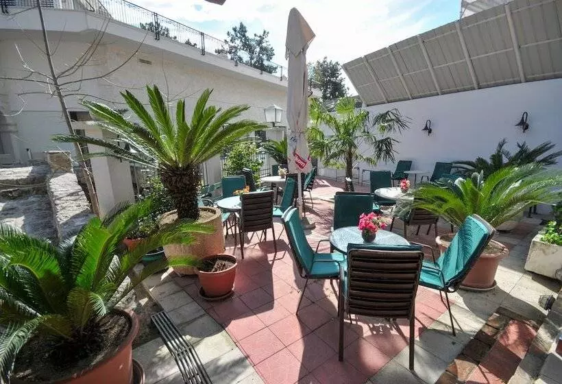 Fotos del hotel Oaza:  23