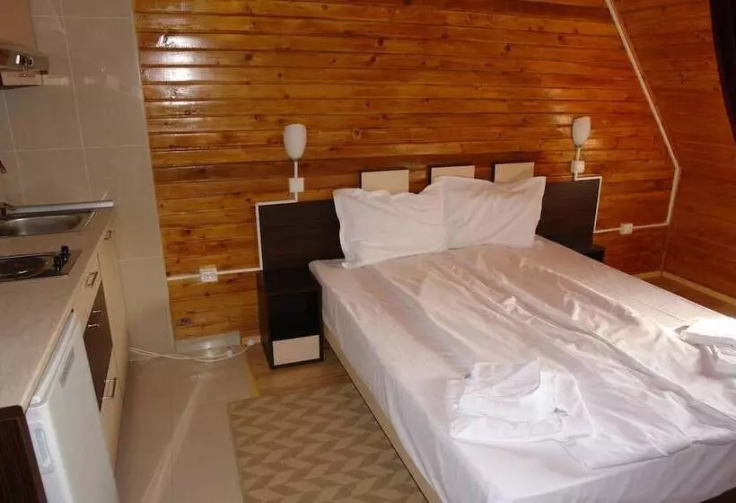 Fotos del hotel Arion:  15