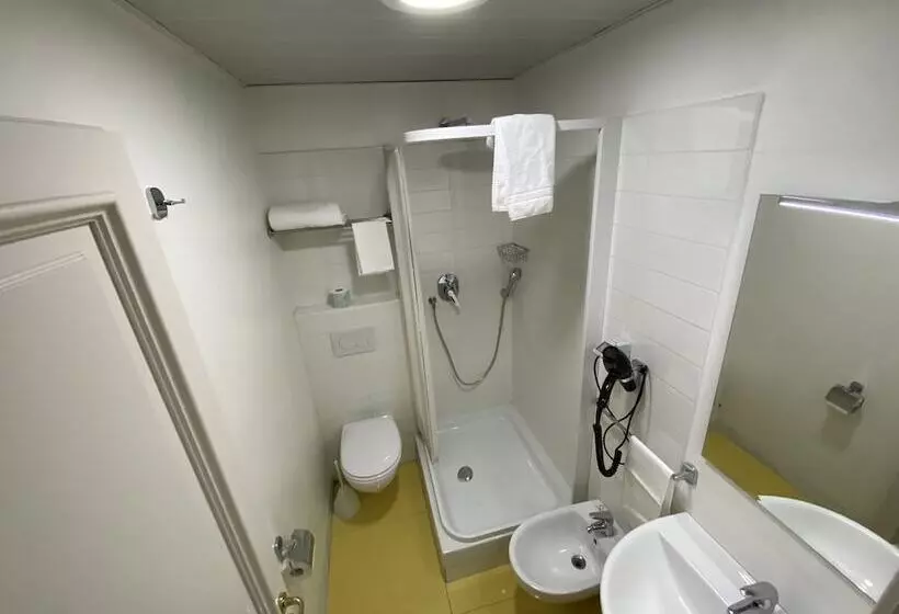 Fotos del hotel Artua &solferino:  8