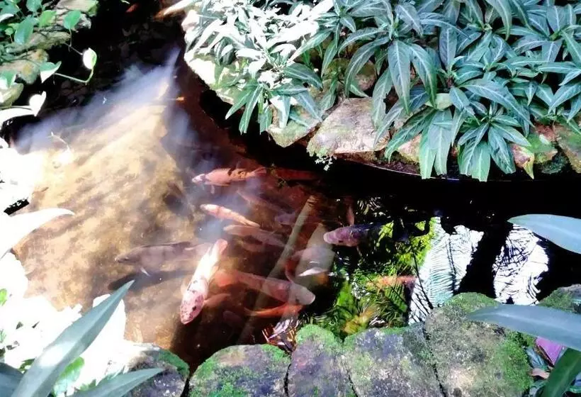 Fotos del hotel Pousada Villa Harmonia:  6