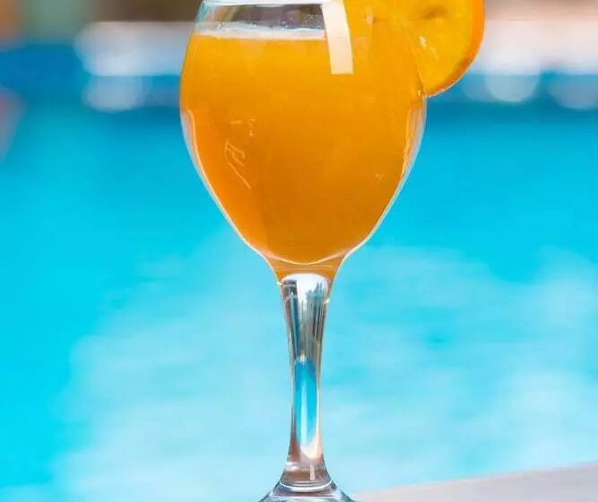 Fotos del hotel Dolphin Suites:  6