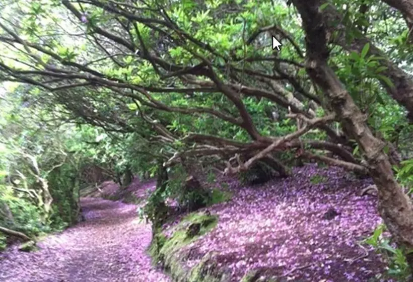 Fotos del hotel Foley S Kenmare:  5