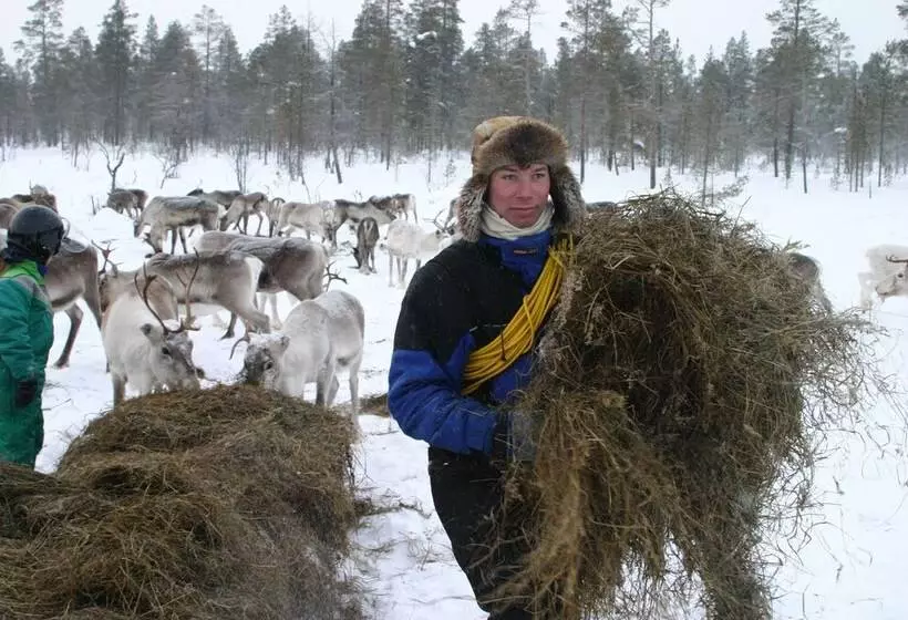 Fotos del hotel Korpikartano:  9