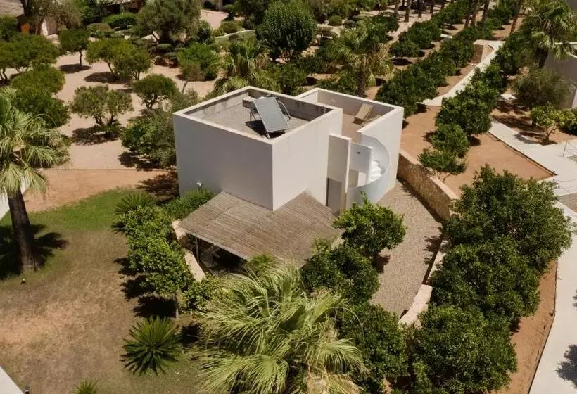 Fotos del hotel Can Jaume By Ocean Drive:  9