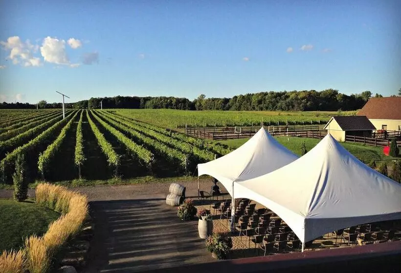 Fotos del hotel Imperia  & Suites Sainteustache:  8