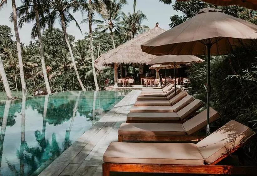 Fotos del hotel Mathis Retreat:  4