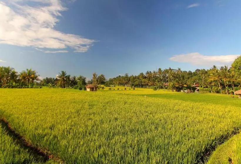 Fotos del hotel Mathis Retreat:  10