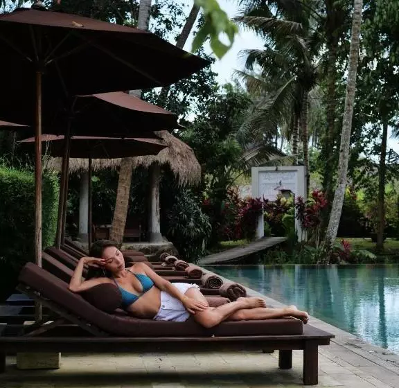 Fotos del hotel Mathis Retreat:  20