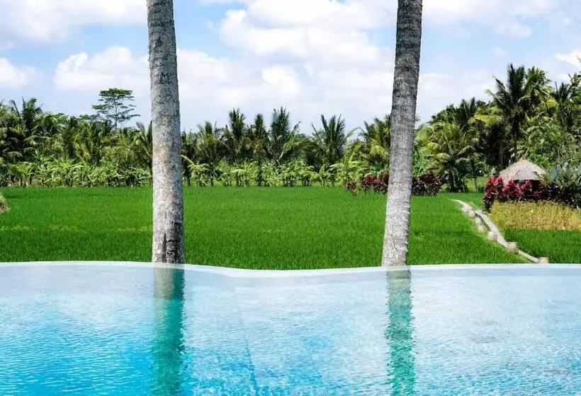 Fotos del hotel Mathis Retreat:  23