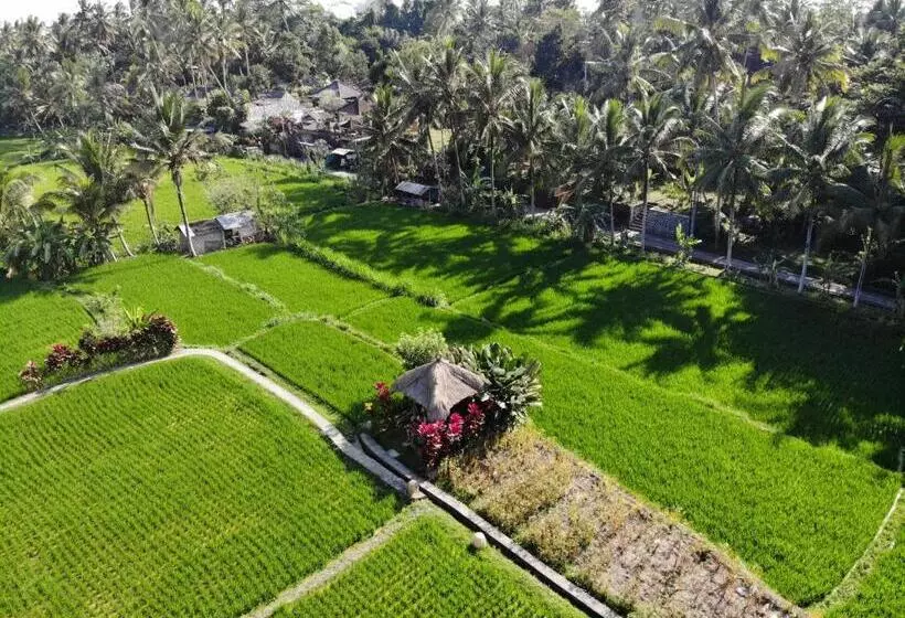 Fotos del hotel Mathis Retreat:  14