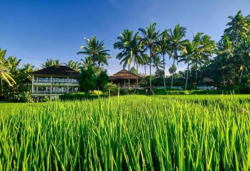 Fotos del hotel Mathis Retreat:  21