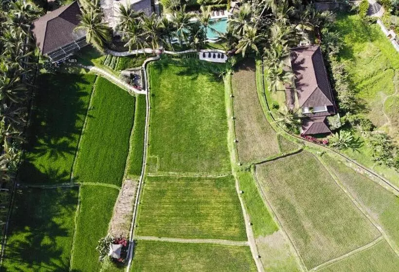 Fotos del hotel Mathis Retreat:  18