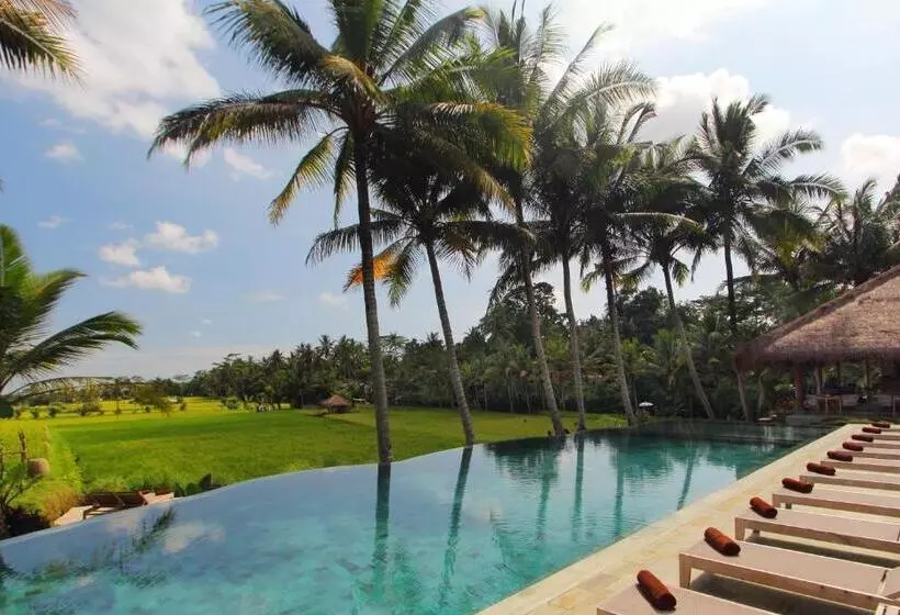 Fotos del hotel Mathis Retreat:  2