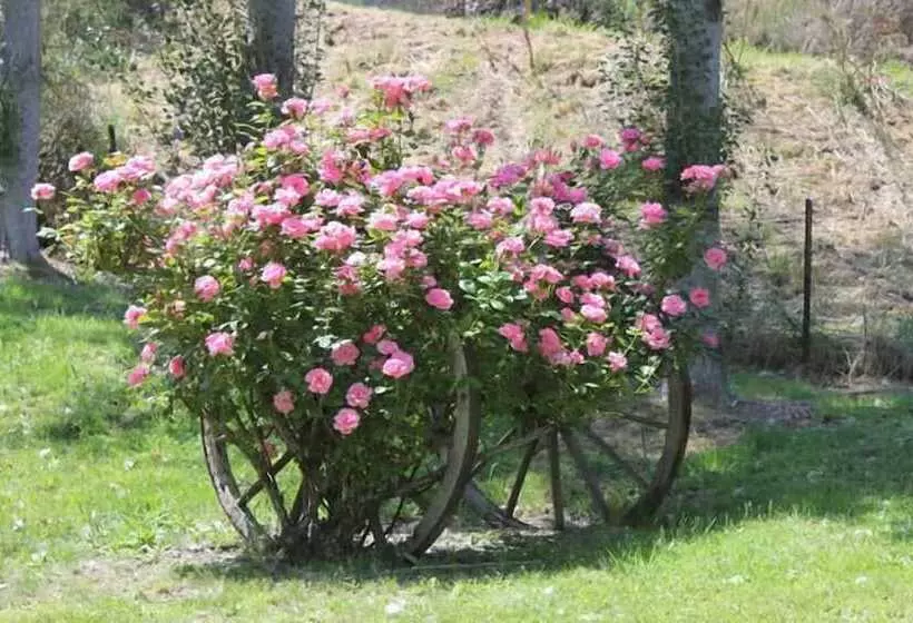 Fotos del hotel Motueka River Lodge:  12