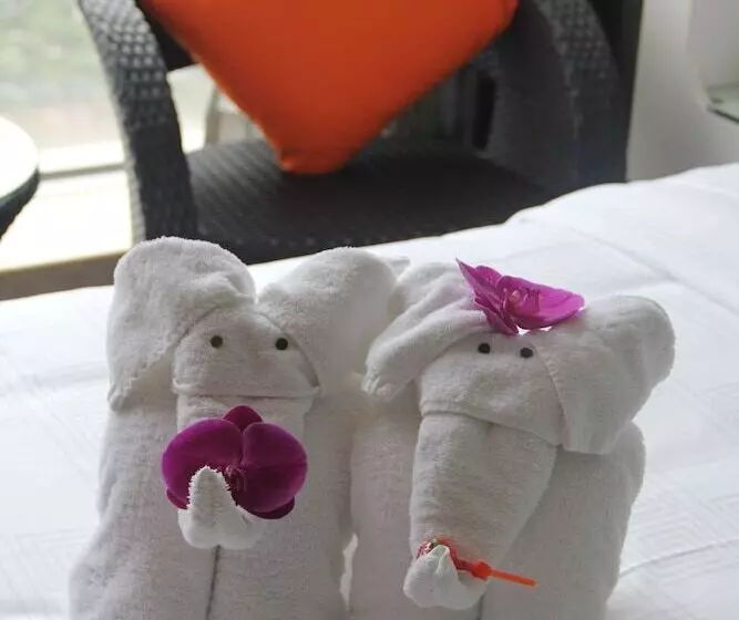 Fotos del hotel Kailida International:  5