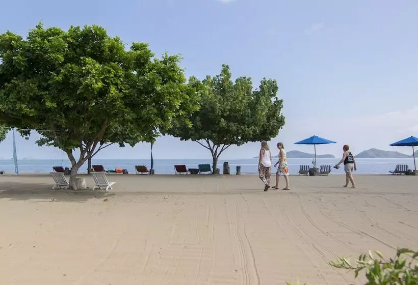 Fotos del hotel Puri Sari Beach:  8