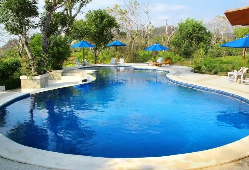 Fotos del hotel Puri Sari Beach:  17