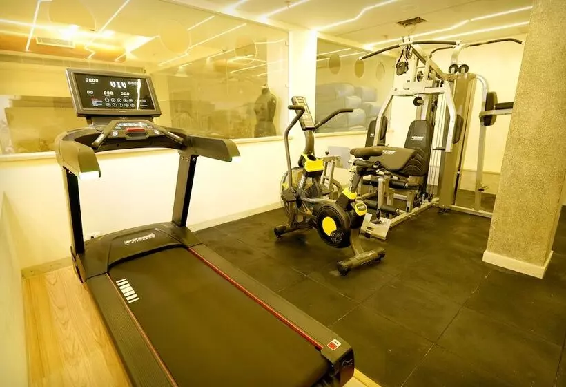 Fotos del hotel The Singh Empire:  16