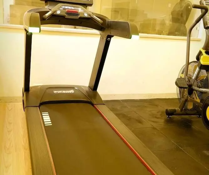 Fotos del hotel The Singh Empire:  15