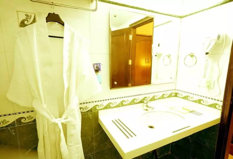 Fotos del hotel The Singh Empire:  23