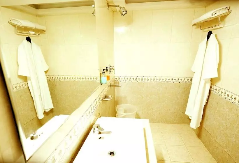 Fotos del hotel The Singh Empire:  7