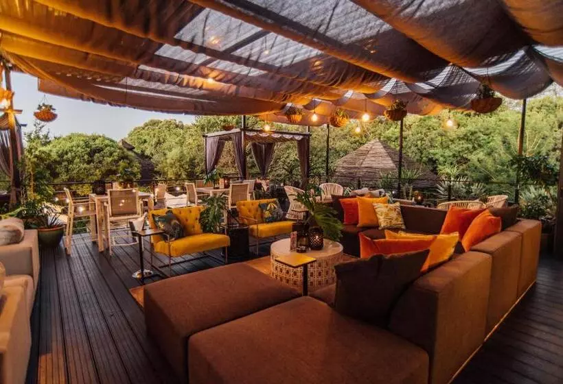 Fotos del hotel Thaba Eco Hotel:  8