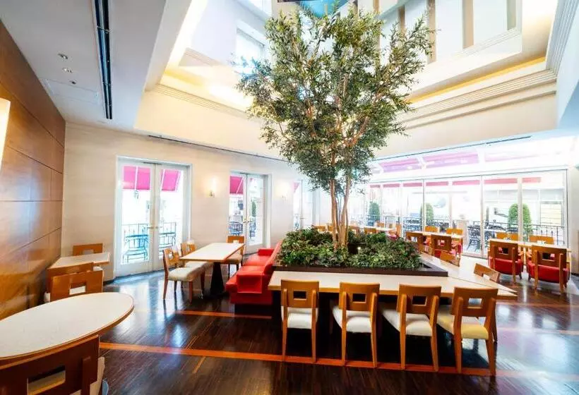 Fotos del hotel Trusty Shinsaibashi:  10