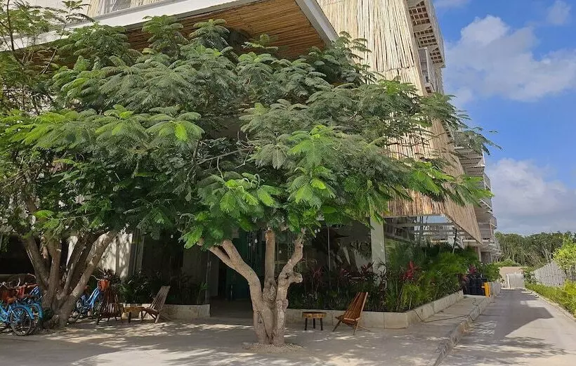 Fotos del hotel Mx Tulum:  22