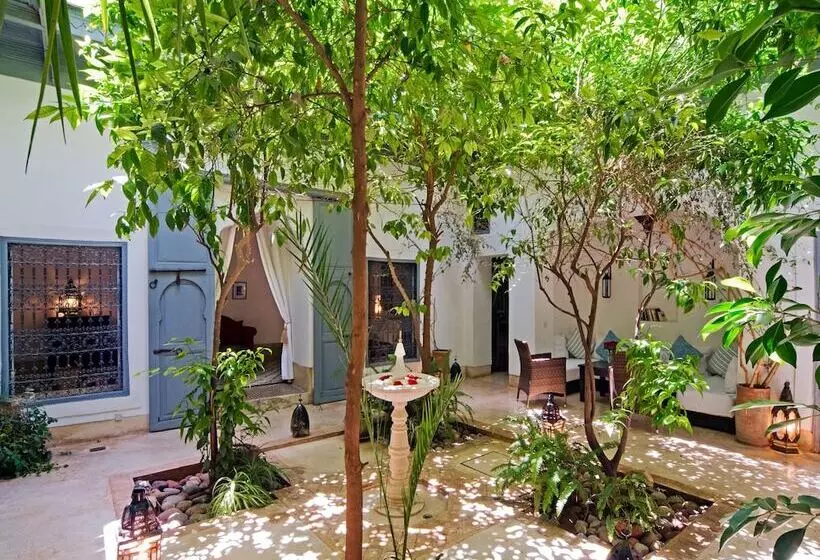 Fotos del hotel Riad Dar Hanane:  23