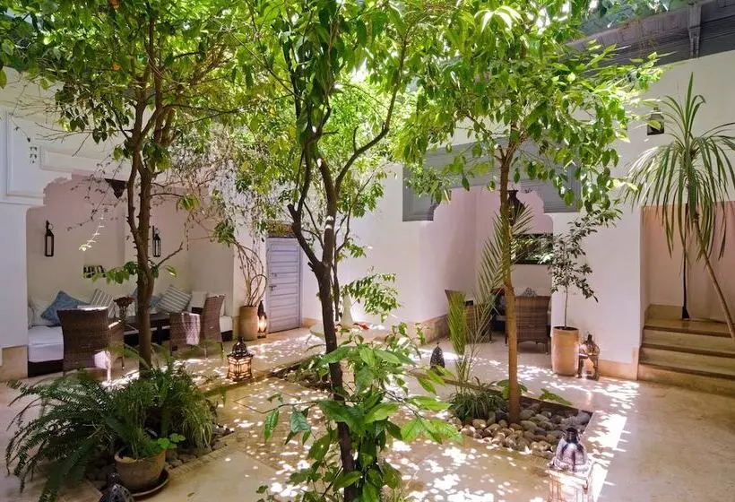 Fotos del hotel Riad Dar Hanane:  25