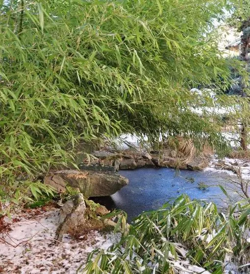 Fotos del hotel Lions Plzen:  16