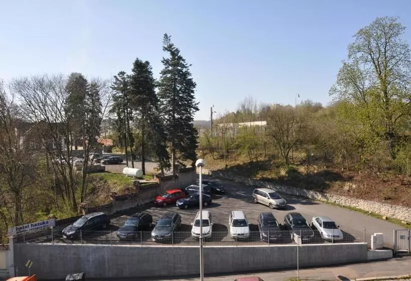 Fotos del hotel Lions Plzen:  20