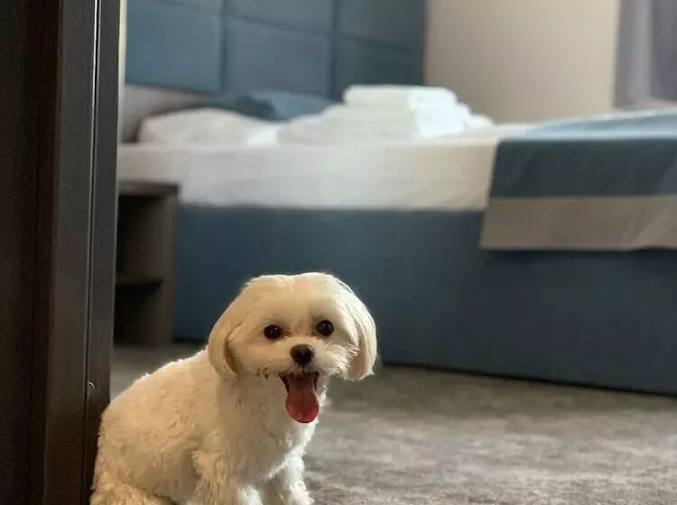 Fotos del hotel Sleep Wroc?aw:  14