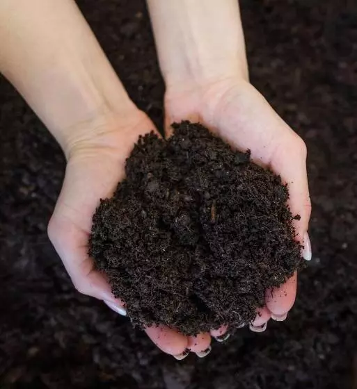 Fotos del hotel Windsor Medical Complex & Spa:  12