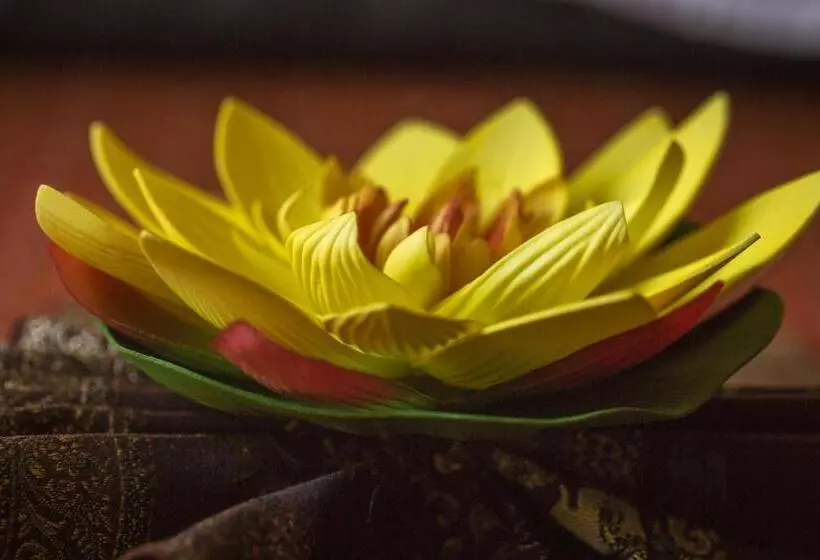 Fotos del hotel Windsor Medical Complex & Spa:  7