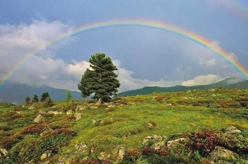 Fotos del hotel Kirchenwirt:  24