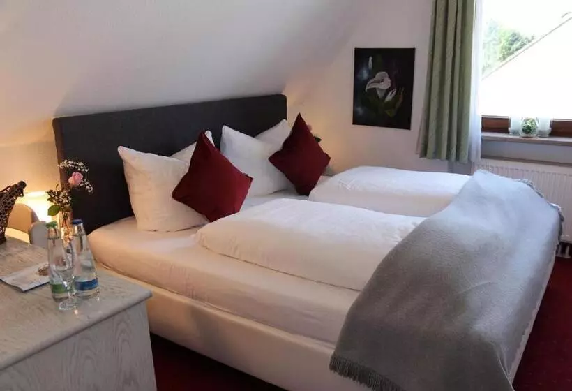 Fotos del hotel Daucher:  14