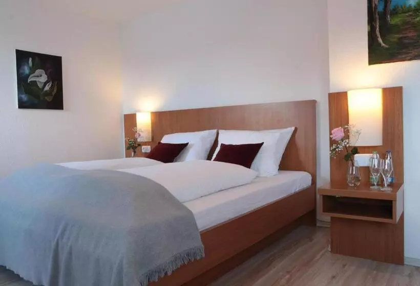 Fotos del hotel Daucher:  16