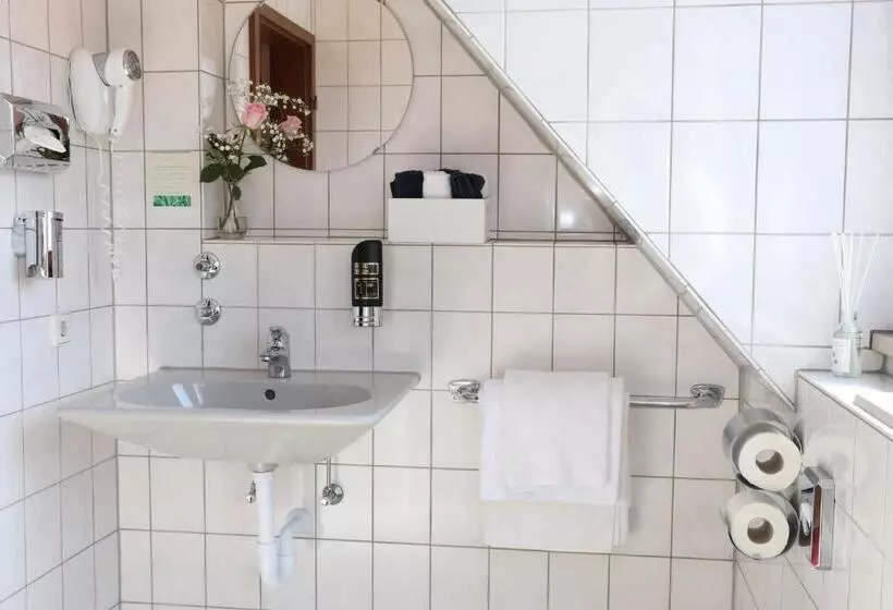 Fotos del hotel Daucher:  6