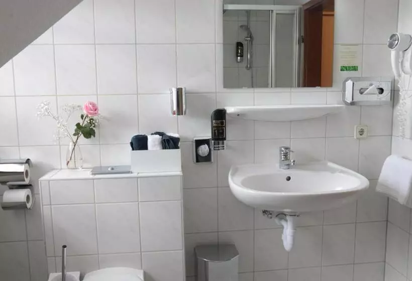 Fotos del hotel Daucher:  11