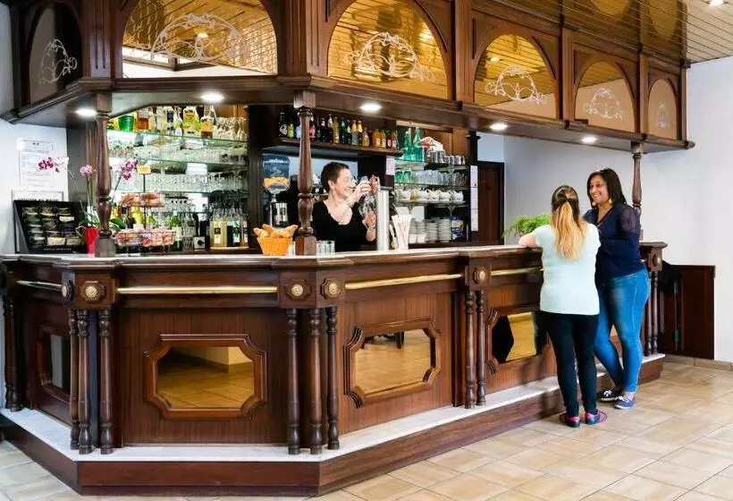 Fotos del hotel Hôtel Hélianthe:  12