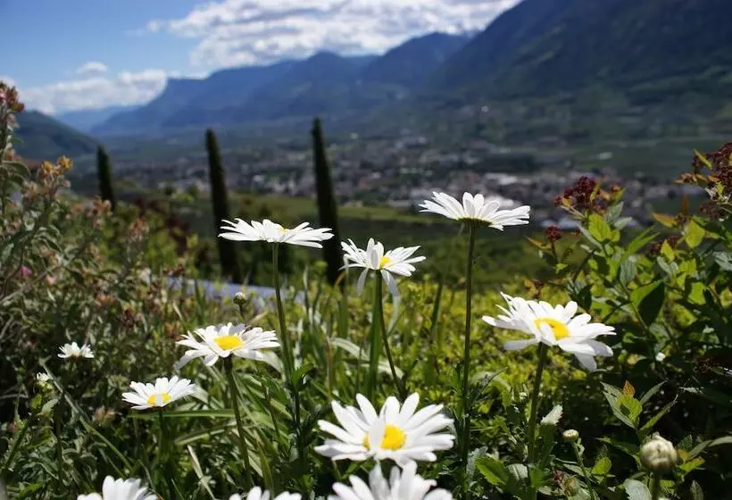 Fotos del hotel Marini S Giardino:  12