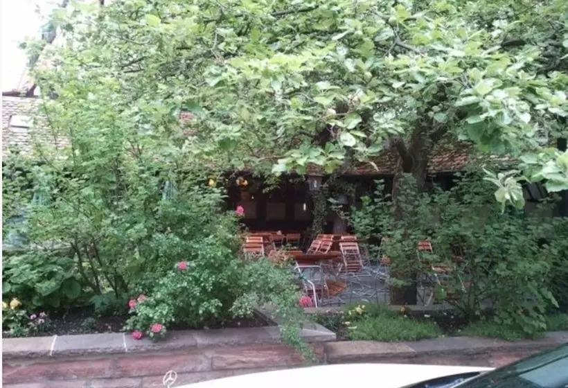 Fotos del hotel Petzengarten:  15