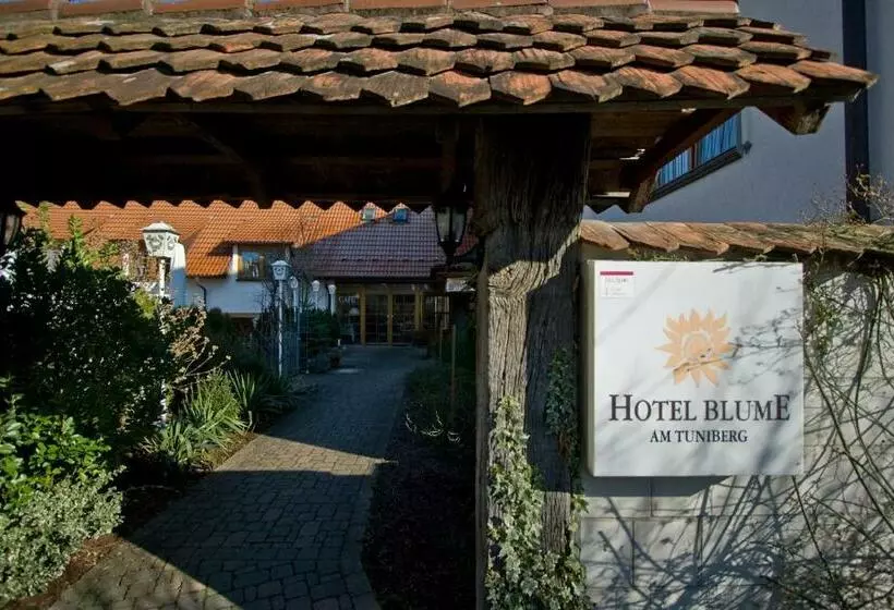 Fotos del hotel Blume:  7