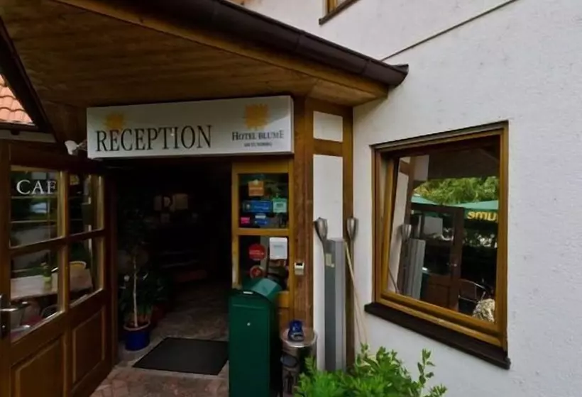 Fotos del hotel Blume:  14