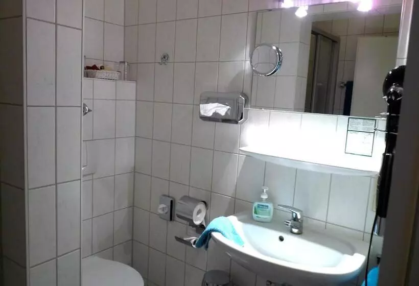 Fotos del hotel Geissler:  3