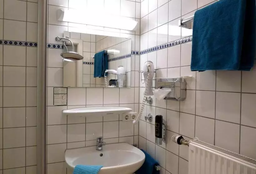 Fotos del hotel Geissler:  6