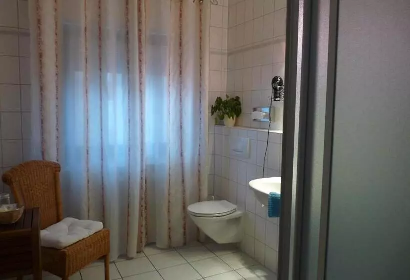 Fotos del hotel Geissler:  12